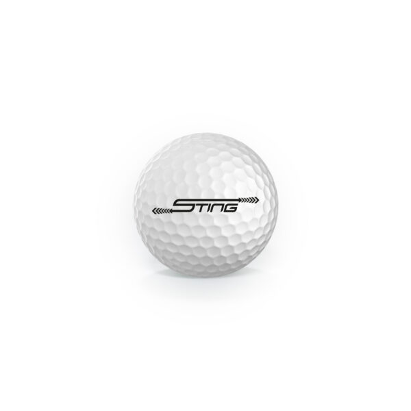 Bola HM Sting – 12 un. - Imagem 2
